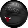imageWILSON NBA Team Premiere Basketballs  Size 7295quotChicago Bulls