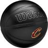 imageWILSON NBA Team Premiere Basketballs  Size 7295quotCleveland Cavaliers