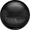 imageWILSON NBA Team Premiere Basketballs  Size 7295quotCleveland Cavaliers