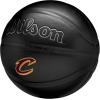 imageWILSON NBA Team Premiere Basketballs  Size 7295quotCleveland Cavaliers