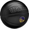 imageWILSON NBA Team Premiere Basketballs  Size 7295quotGolden State Warriors