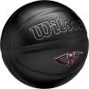imageWILSON NBA Team Premiere Basketballs  Size 7295quotNew Orleans Pelicans