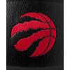 imageWILSON NBA Team Premiere Basketballs  Size 7295quotToronto Raptors