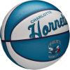 imageWILSON NBA Team Retro Mini Basketballs  Mini Size  3quotCharlotte Hornets