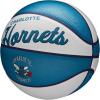 imageWILSON NBA Team Retro Mini Basketballs  Mini Size  3quotCharlotte Hornets