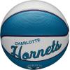 imageWILSON NBA Team Retro Mini Basketballs  Mini Size  3quotCharlotte Hornets