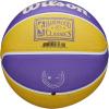 imageWILSON NBA Team Retro Mini Basketballs  Mini Size  3quotLos Angeles Lakers