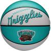 imageWILSON NBA Team Retro Mini Basketballs  Mini Size  3quotMemphis Grizzlies