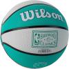 imageWILSON NBA Team Retro Mini Basketballs  Mini Size  3quotMemphis Grizzlies