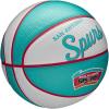 imageWILSON NBA Team Retro Mini Basketballs  Mini Size  3quotSan Antonio Spurs