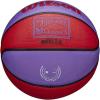 imageWILSON NBA Team Retro Mini Basketballs  Mini Size  3quotToronto Raptors