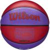 imageWILSON NBA Team Retro Mini Basketballs  Mini Size  3quotToronto Raptors