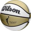 imageWILSON WNBA Commemorative Series Basketballs  Womens Official ampamp Mini SizesGoldWhite