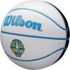imageWILSON WNBA Team Autograph Series Mini BasketballChicago Sky