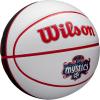 imageWILSON WNBA Team Autograph Series Mini BasketballWashington Mystics