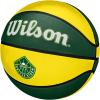 imageWILSON WNBA Team Tribute Basketballs  Womens Official Size 6285quotSeattle Storm