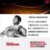 imageWilson NBA Authentic Travel Bag  Holds 6 Balls