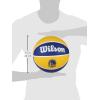 imageWilson NBA Team Tribute Basketballs  Size 7295quotGolden State Warriors