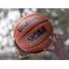 imageWilson NCAA Street Shot Basketballs  295quot 285quot 275quotSize 7  295