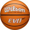 imageWILSON Caitlin Clark EVO NXT 3951 Game BasketballsSize 7  295