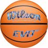 imageWILSON Caitlin Clark Embrace EVO NXT BasketballsSize 7  295