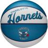 imageWILSON NBA Team Retro Mini Basketballs  Mini Size  3quotCharlotte Hornets