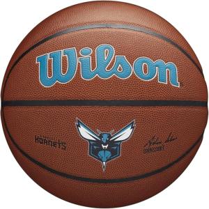 imageWILSON NBA Team Alliance Basketballs  Size 7295quotCharlotte Hornets