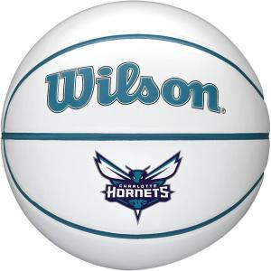 imageWILSON NBA Team Autograph Mini Basketballs  Size 322quotCharlotte Hornets
