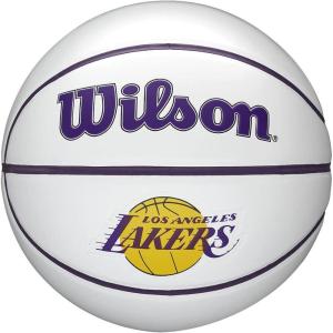 imageWILSON NBA Team Autograph Mini Basketballs  Size 322quotLos Angeles Lakers