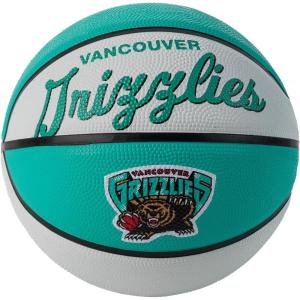 imageWILSON NBA Team Retro Mini Basketballs  Mini Size  3quotMemphis Grizzlies