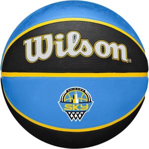 imageWILSON WNBA Team Tribute Basketballs  Womens Official Size 6285quotChicago Sky