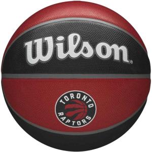 imageWilson NBA Team Tribute Basketballs  Size 7295quotToronto Raptors