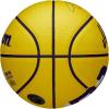 imageWILSON NBA Player Icon Basketballs  Size 3 and Size 7Lebron James