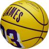 imageWILSON NBA Player Icon Basketballs  Size 3 and Size 7Lebron James