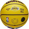imageWILSON NBA Player Icon Basketballs  Size 3 and Size 7Lebron James