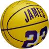 imageWILSON NBA Player Icon Basketballs  Size 3 and Size 7Lebron James