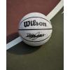 imageWILSON NBA Player Icon UV Basketball  Lebron James Size 7295quot