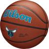 imageWILSON NBA Team Alliance Basketballs  Size 7295quotCharlotte Hornets