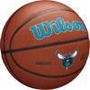 imageWILSON NBA Team Alliance Basketballs  Size 7295quotCharlotte Hornets