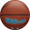 imageWILSON NBA Team Alliance Basketballs  Size 7295quotCharlotte Hornets