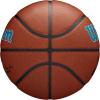 imageWILSON NBA Team Alliance Basketballs  Size 7295quotCharlotte Hornets