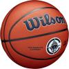 imageWILSON NBA Team Alliance Basketballs  Size 7295quotLos Angeles Clippers