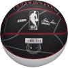 imageWILSON NBA Team Autograph Mini Basketballs  Size 322quotMiami Heat