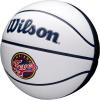 imageWILSON WNBA Team Autograph Series Mini BasketballIndiana Fever