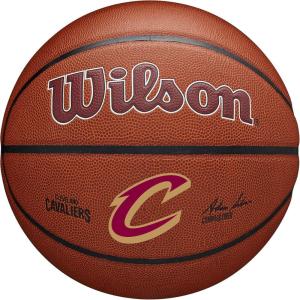 imageWILSON NBA Team Alliance Basketballs  Size 7295quotCleveland Cavaliers