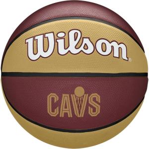 imageWILSON NBA Team Tribute Basketballs  Size 7295quotCleveland Cavaliers