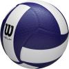 imageWilson Helix Official Size VolleyballsBlueWhite