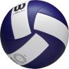 imageWilson Helix Official Size VolleyballsBlueWhite