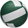 imageWilson Helix Official Size VolleyballsGreenWhite