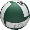 imageWilson Helix Official Size VolleyballsGreenWhite